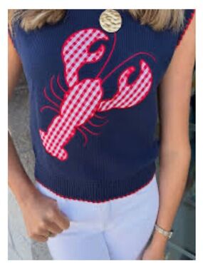 New Navy Lobster Gingham Sleeveless Sweater with red trim
